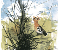 Πέθανε ο Γιώργος Βαρλάμος