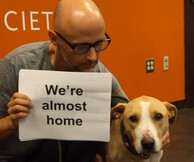 Ο Moby φτιάχνει ένα από τα πιο όμορφα βίντεο της χρονιάς