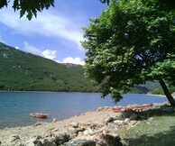 Φεστιβάλ Λίμνης Λάδωνα