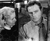 Αναφορά στον Ηλία Καζάν