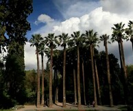 Στον Εθνικό Κήπο θα γίνει η γιορτή της Παγκόσμιας Ημέρας Περιβάλλοντος στην Αθήνα