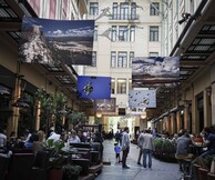 Όλη η σπάνια ομορφιά της Μεσσηνίας κρεμασμένη στη Στοά του City Link