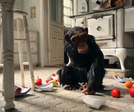 Το Διεθνές Φεστιβάλ Animasyros ταξιδεύει στη Θεσσαλονίκη