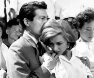 Τι διαφορετικό φέρνει το Adaptation Film Festival στην Αθήνα;