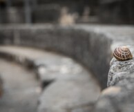 Live streaming: Παραμερίζοντας το πέπλο του χρόνου: Αρχαίο θέατρο Αμβρακίας