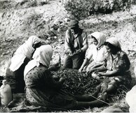 Υφαίνοντας Ιστορίες : Η Margaret Kenna και η Ανάφη