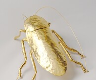Ατομική έκθεση του Capten | Cockroaches – Κατσαρίδες