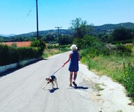 Έξι καλλιτέχνες | Έξι ταινίες μικρού μήκους | Έξι βραδιές προβολών στην Κάμιρο