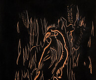 ΤΣΕΚ ΦΩΤΟ “Όταν ο Κόραξ λευκανθεί...” / ”When the Raven turns white...” | έκθεση της Κατερίνας Ζαχαροπούλου στην Crux Galerie