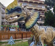 Η Νιφάδα τι Πτολεμαείδες θα ξυπνήσει για άλλη μια χρονιά στο Δήμο Εορδαίας