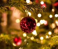 Moonlight Boutique Christmas Wonderland