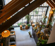 Ohayo tea house