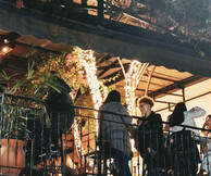 Bocas the bar