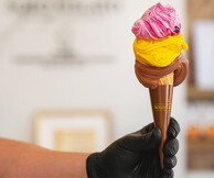 Solo Gelato