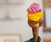 Solo Gelato