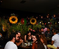 Μαύρος Γάτος: Tropical Party 