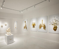 Costas Picadas: Anatomy unveiled