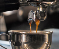 Coffee Berry: Η απόλαυση που γίνεται το δικό σου επιχειρηματικό ταξίδι