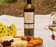 Cuvee III Μέγα Σπήλαιο: Ένα εκρηκτικό blend από τους χαρισματικούς αμπελώνες της ορεινής Αιγιάλειας