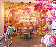 Pink Dot Cafe