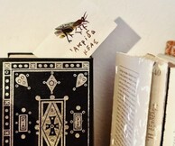 Αποκαλόκαιρο στο Ατελιέ του Αλέκου Φασιανού στην Κέα