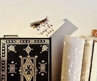 Αποκαλόκαιρο στο Ατελιέ του Αλέκου Φασιανού στην Κέα