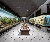 «Ο γύρος του κόσμου...σε 10 Κυριακές» στο Εθνικό Μουσείο Φυσικής Ιστορίας Γουλανδρή