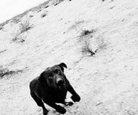 Μουσικάρες για ένα Σάββατο. Ο Στάθης Τσαγκαρουσιάνος επιλέγει.