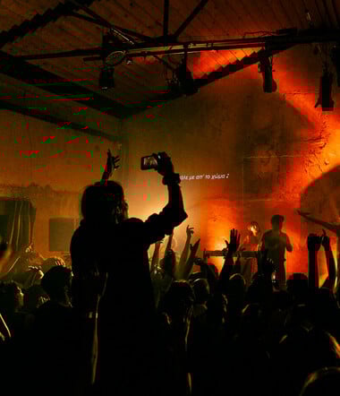 Αυτοοργάνωση, πολυμορφία και δημιουργία