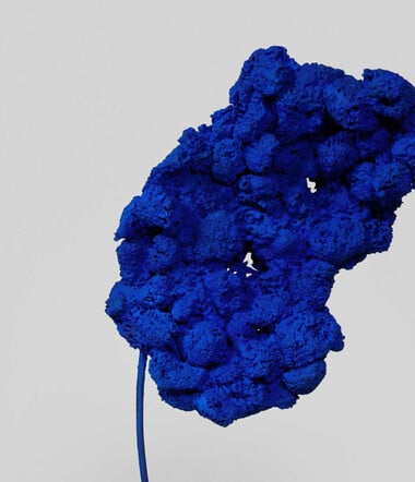 Το απέραντα μπλε όραμα του Yves Klein