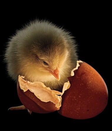 Οι καλύτερες φωτογραφίες του National Geographic για το 2025