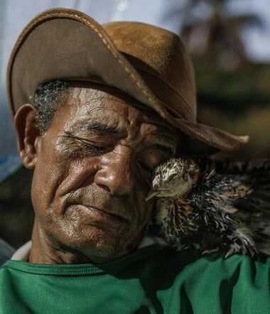 Οι καλύτερες φωτογραφίες του «National Geographic» για το 2025