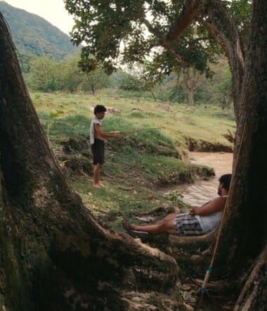 Ο θρήνος των τζιτζικιών