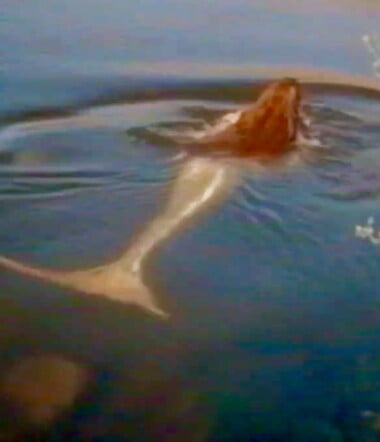 Καλοκαίρια στην Κορσική παρέα με μυθικά πλάσματα