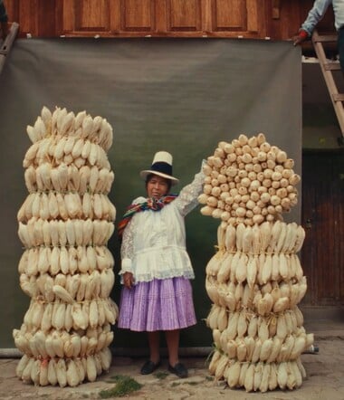 Στην χώρα των γιγάντων