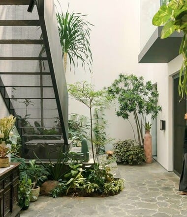 Ένα βοτανικό καταφύγιο με ινδονησιακή κληρονομιά