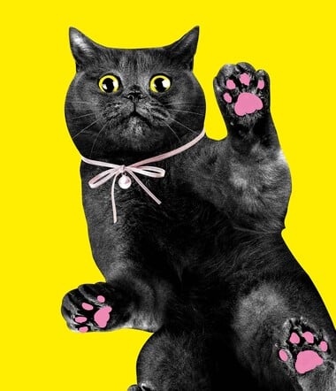 «CATS!»: Η γάτα ως λατρευτικό αντικείμενο και σύμβολο της ποπ κουλτούρας