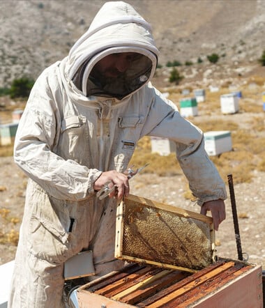 Πώς φροντίζεις 600 κυψέλες στο νησί της Καρπάθου;