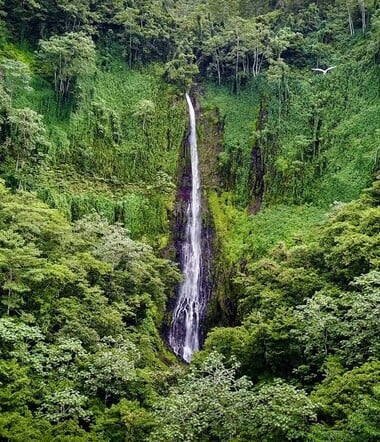 Ταξίδι στο Νησί των Θησαυρών 
