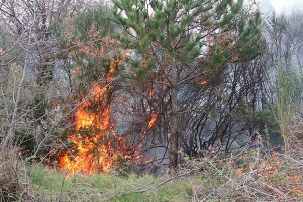 Συνελήφθη 41χρονος για τον εμπρησμό στη Χίο