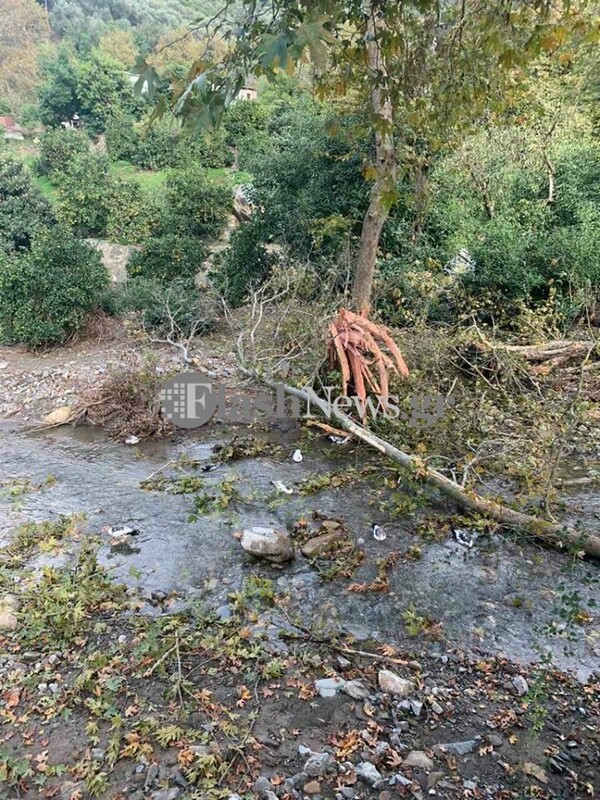 Κρήτη: Νεκρός αγρότης που καταπλακώθηκε από δέντρο