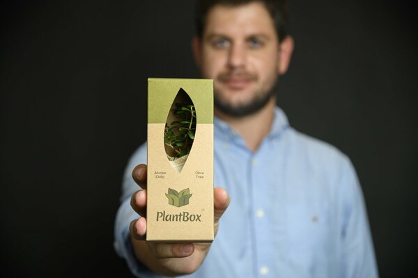 PlantBox: Μια ελληνική start up στέλνει «μπονζάι» ελαιόδεντρα σε όλο τον κόσμο