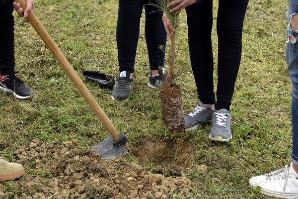 Αλλάζει η Πανεπιστημιούπολη στην Κομοτηνή: Θα φυτευτούν 1.000 δέντρα