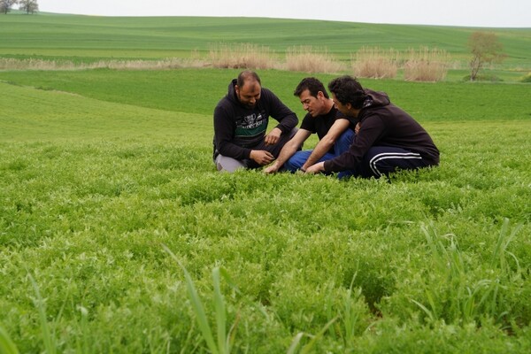 Agrifarm: Πώς μια μικρή ελληνική εταιρεία οσπρίων κατάφερε να επεκταθεί στην παγκόσμια αγορά