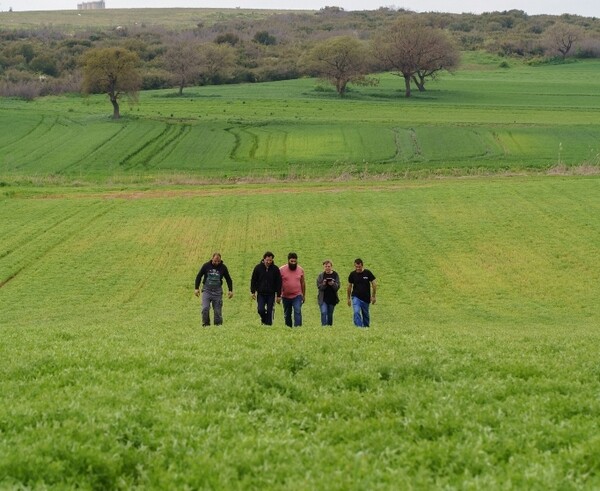 Agrifarm: Πώς μια μικρή ελληνική εταιρεία οσπρίων κατάφερε να επεκταθεί στην παγκόσμια αγορά