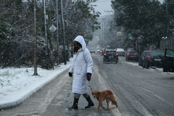 Καιρός: Συνεχίζεται η κακοκαιρία Ζηνοβία - Κρύο, βροχές, χιόνι και πολλά μποφόρ