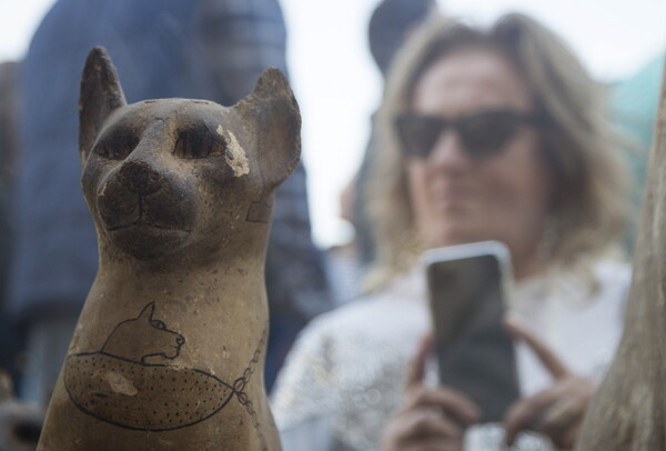Για πρώτη φορά στο φως οι σπάνιες μούμιες ζώων από τη νεκρόπολη της Σακάρα στην Αίγυπτο