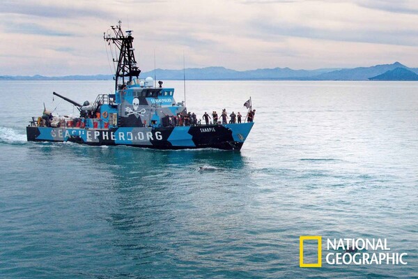 Sea of Shadows: Το νέο ντοκιμαντέρ του National Geographic σε παραγωγή του Λεονάρντο Ντι Κάπριο