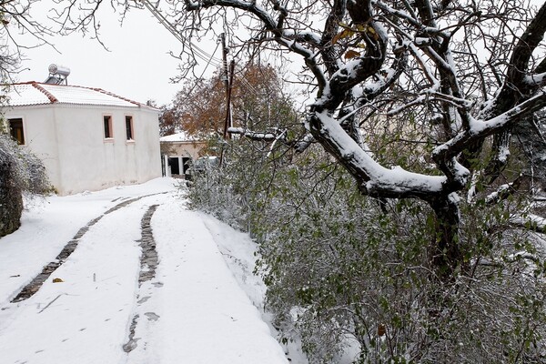 Πέφτει η θερμοκρασία εν αναμονή της «Ζηνοβίας»