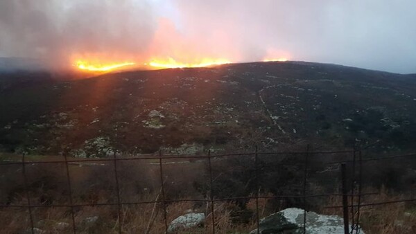 Μεγάλη φωτιά στην Άνδρο - Στην περιοχή της Βουρκωτής